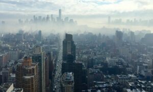 Architectural Comparison