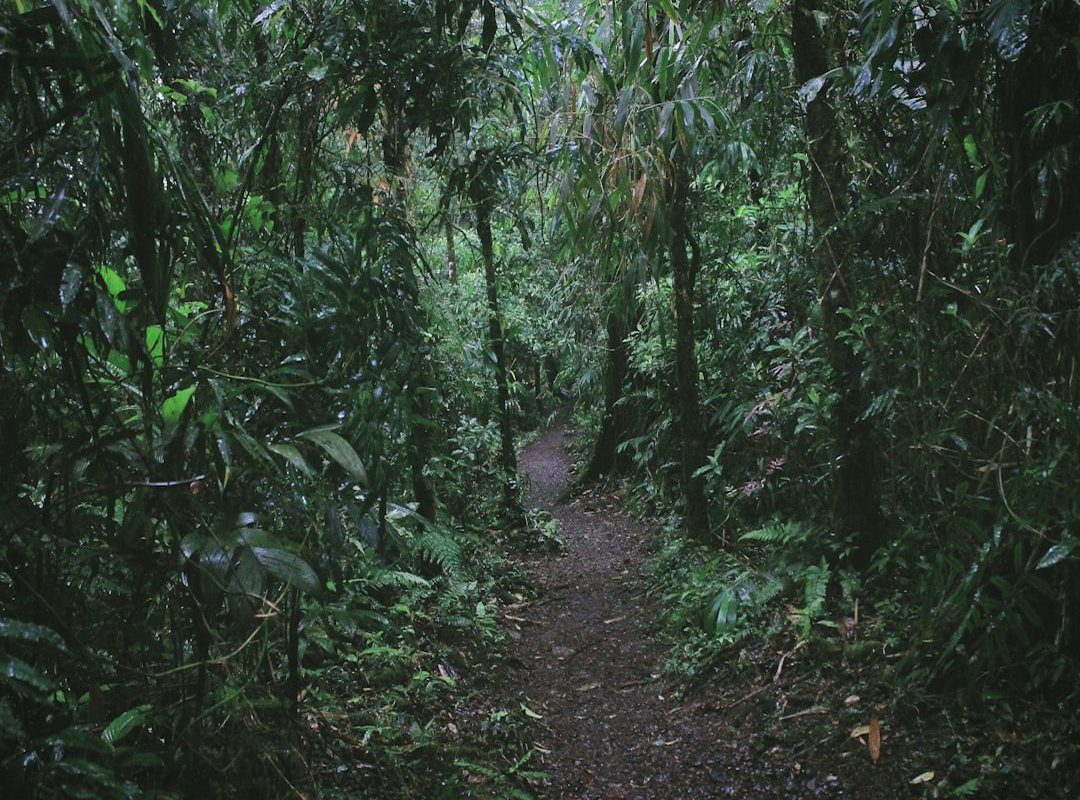 agile waterfall project framework