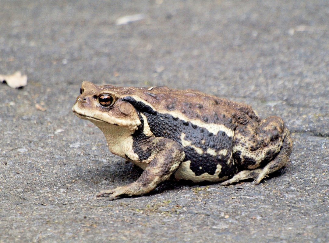 How Big is 5.9 Meters? Putting It in Perspective