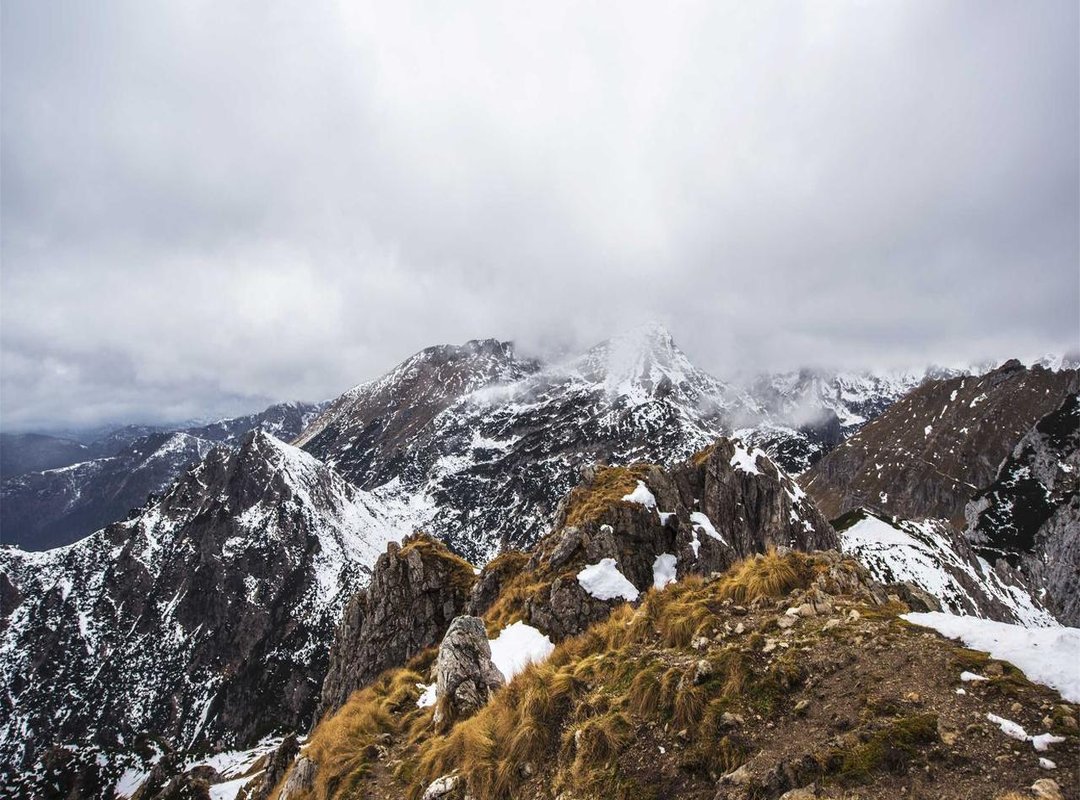 The Evolution of the Bayern Crest: Before and After the Nazi Era