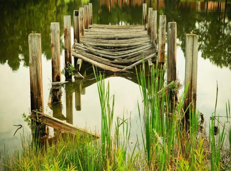 hbomax. com/tvsinging