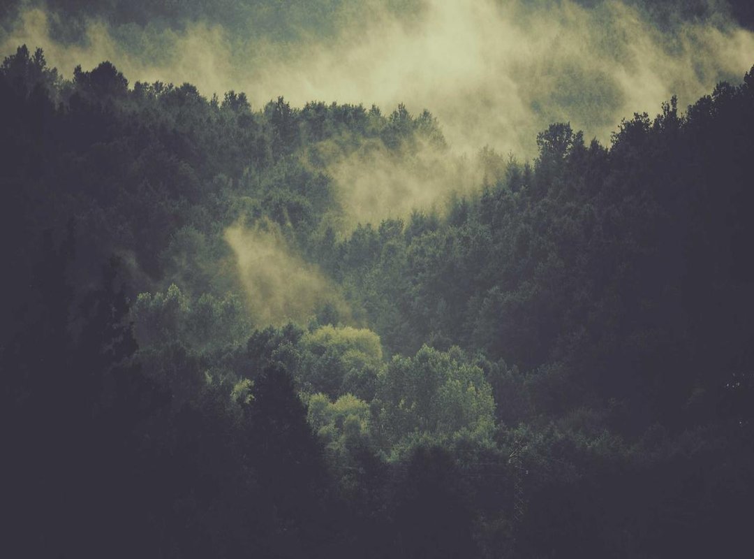 Red Flags: How to Spot and Avoid Unsafe Download Websites