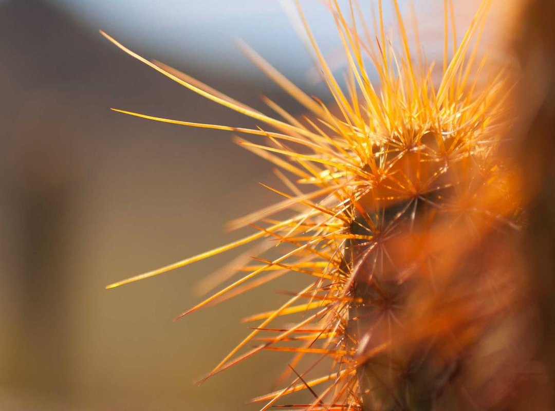 Your Instant Access: How to Download the Memory Reboot MP3 Now