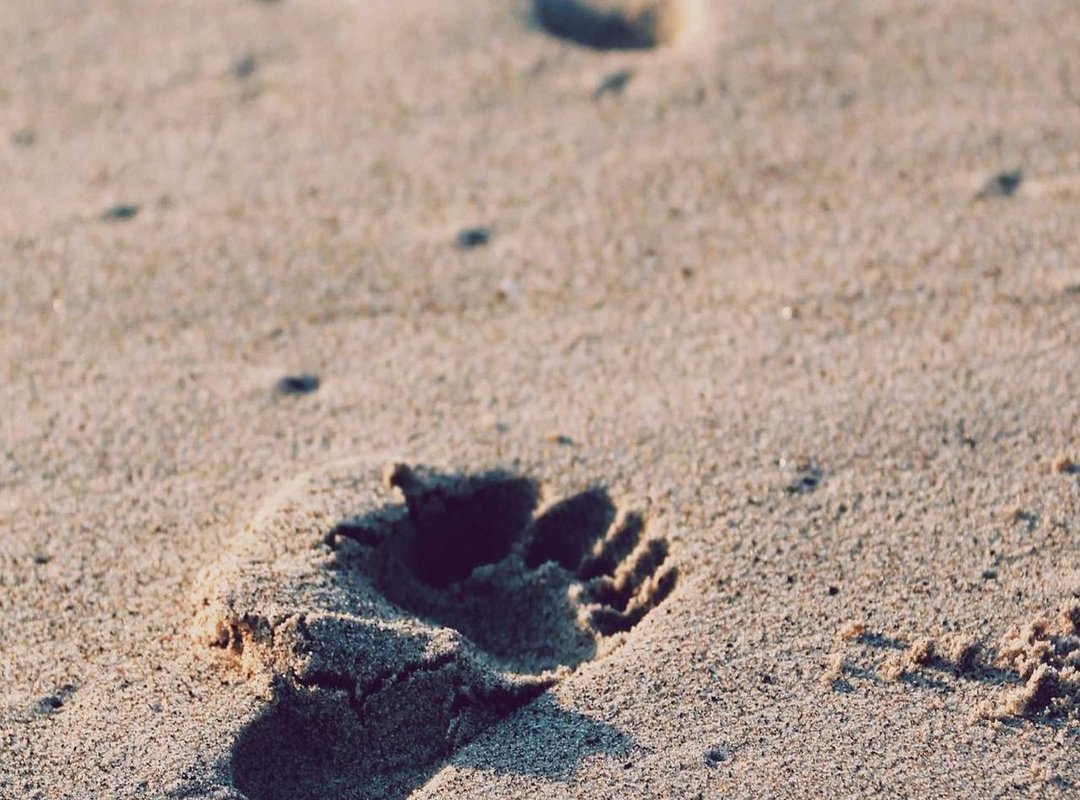 Analyzing Her Performances: From Acclaimed Films to a Global Hit