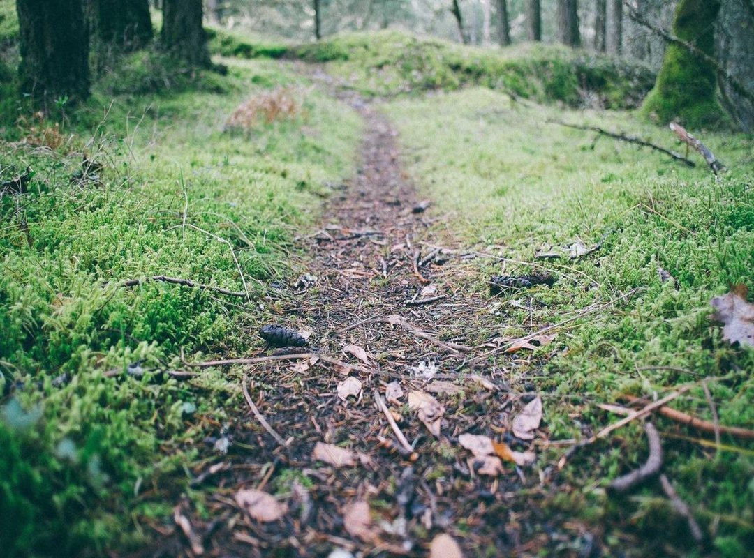 Understanding the Risks: Scams, Malware, and Privacy Concerns